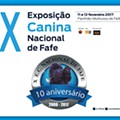Exposição Canina.jpg